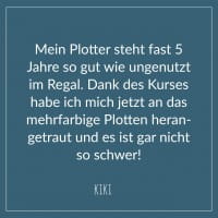 Plotter 1x1 - MASTERCLASS - THERMOTRANSFER, VINYL und PAPIER - Online-Kurs *SILHOUETTE*